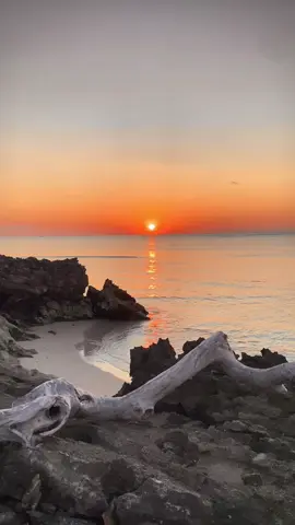 #sunset #roteisland🌴 #nttpride🏝🔥 #fyp 