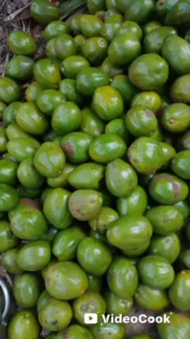 En vente de très bons avocats de kpalimé.... En gros comme en détail... Livraison partout à Lomé à un prix bien abordable #fruits #avocats #avocats bien beurrés #tiktoklomé #tiktoktogo