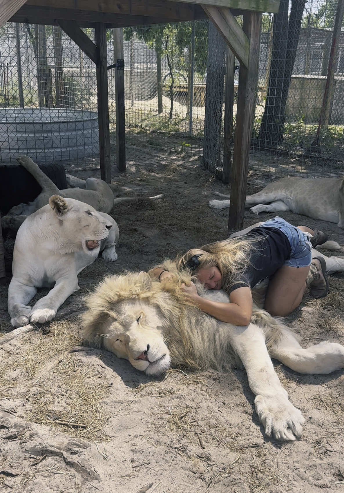 Timba cuddles ❤️