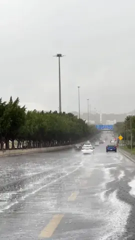 #امطاراليوم #الطايف #الطايف_الان 