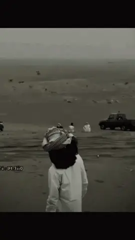 لمور طيبه #اكسبلور #الدهمي 