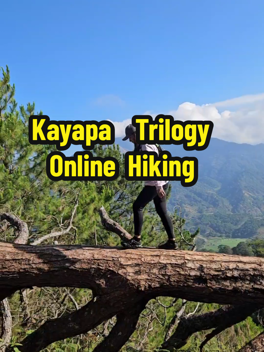 Replying to @rish1631 Kayapa Trilogy RAW Videos. Tara online hiking uli 😜 Eto yung bundok na kung may ulitan kinabukasan, talagang aakyatin ko uli sa sobrang ganda nya! Para syang combination ng Mt Ulap and Cawag(except sa mala impyernong hangin)  Sarap ng hangin dito, malamig kahit mag tanghali na. Madali lang din sya, good for beginners. Isa sa mga babalikan for sure! 😭🥹😍😍 📍Mt. Tugew 📍Mt. Cabo 📍Mt. Kabuan #kayapatrilogy #nuevavizcaya #Hiking #fyp #fypage 