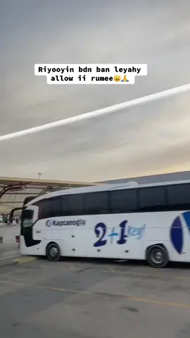 Ka dhabee hankii aan halaa.                     #somalitiktok #muqdishotiktok🇸🇴🇸🇴❤ #fyp 