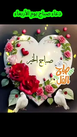 دعاء يوم الأربعاء #viralvideo #امين_يارب🤲🏻🥀🕊️ #يـــــــــــــــــــــارب #fypage #funny 