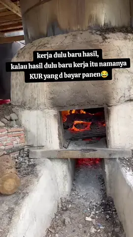 harga anjlok tetap gas💪semangat pejuang keluarga #petani #petaniindonesia🇮🇩🇮🇩🇮🇩🌿🌿 #petanilam 