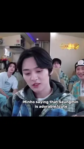Jealous Han~ #minsung #fyp #minho #jisung #jealous #straykids 