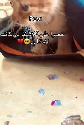 #فراق_الأحبة #خلي_كلمة_من_قلبك💓 #فرنسا🇨🇵_بلجيكا🇧🇪_المانيا🇩🇪_ #شعب_الصيني_ماله_حل😂😂 