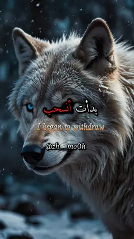 بدأت انسحب من حياة  #كلام_من_ذهب #اقتباسات  #اقتباسات_عبارات_خواطر  #خواطر #عبارات #كلام #اقوال  #explore #اكسبلور #tik_tok  #Capcut #fyp 