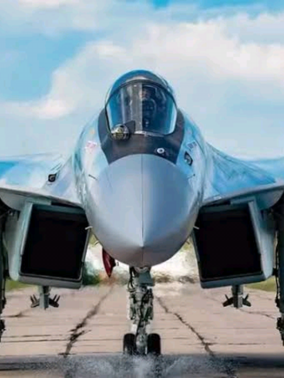 Sukhoi Su-35 (bahasa Rusia: Сухой Су-35; kode NATO: Flanker-E) adalah pesawat tempur multiperan, kelas berat, berjelajah panjang, dan bertempat duduk tunggal asal Rusia. Pesawat ini dikembangkan dari Su-27, dan awalnya diberi nama Su-27M. Pesawat ini dikembangkan untuk menandingi F-15 Eagle dan F-16 Fighting Falcon. Karena kesamaan fitur dan komponen yang dikandungnya, Su-35 dianggap sebagai sepupu dekat Sukhoi Su-30MKI, sebuah varian Su-30 yang diproduksi untuk India