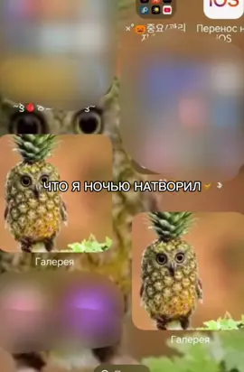 Опечатка, натворилА#рекомендации 