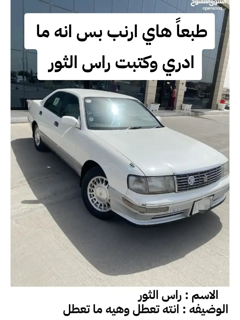 #شيزر💎 #ذهب #سباق 