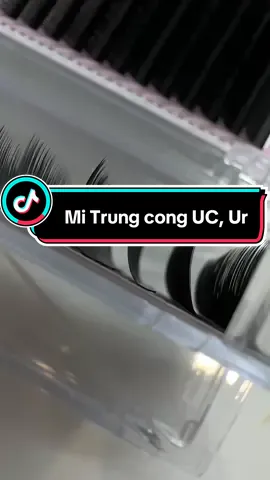 2 độ cong mới nhất định nên thử nhé các ce đồng miii#dungcunoimi #cocolash #volumelashes #mithuonghieu #mitrunghoa #milongtho #midouyin 