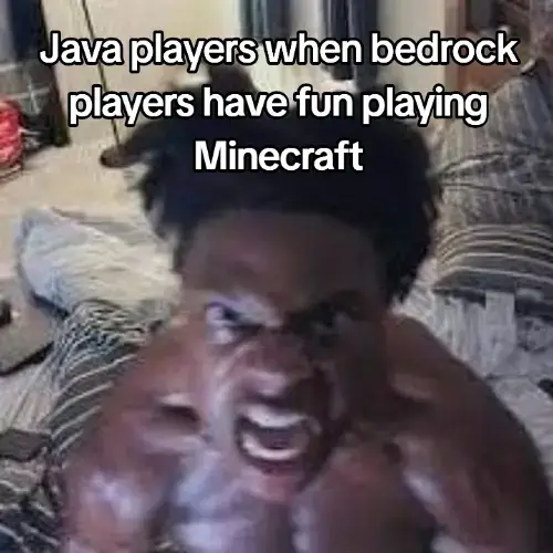 b-b-but at least were not playing bugrock! sybau #bedrockedition #java #minecraftmemes #Minecraft #fyp 