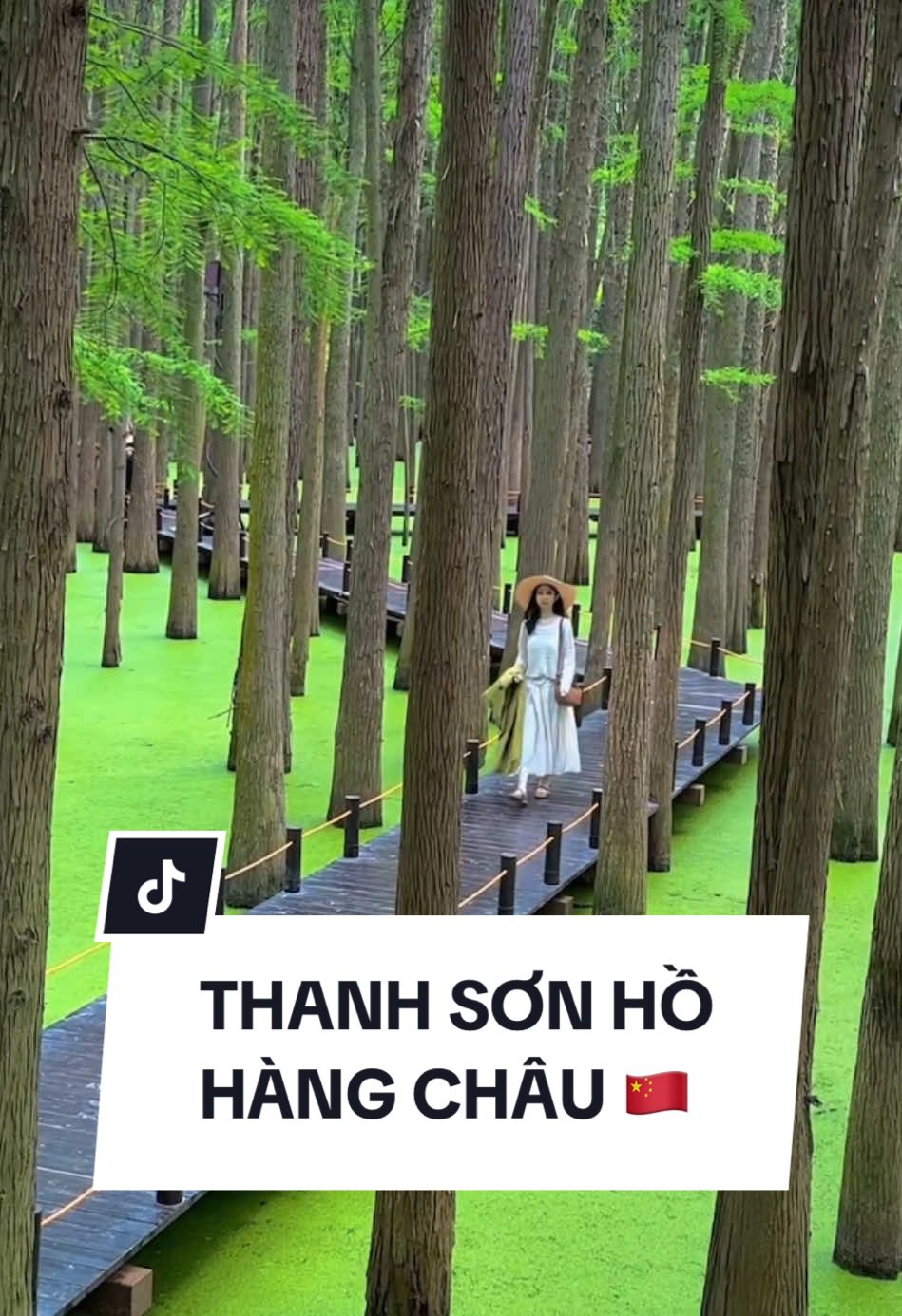 Thật tiếc nếu bạn chưa ghé thăm Hàng Châu - Đại tuyệt cảnh của Trung Quốc 🇨🇳 Nơi đó không chỉ có Tây Hồ là Di sản thế giới UNESCO mà còn có một “Hồ” khác đẹp tới vô thực, đó là Thanh Sơn Hồ. 📍Thanh Sơn Hồ, Quận Lâm An, Hàng Châu (青山湖） 🚇Tuyến tàu: cách lối ra C1 của Line 16 khoảng 800m 🌈Thời gian mở cửa: 8:00-17:00 🎫Vé: 40 đồng (~150k) 🚢Chèo thuyền: 220 đồng/giờ (thuyền 2 người) #traveltiktok #china #hangzhou #hàngchâu #trungquoc #xh #fyp #viral #travellife #qingshanhu 