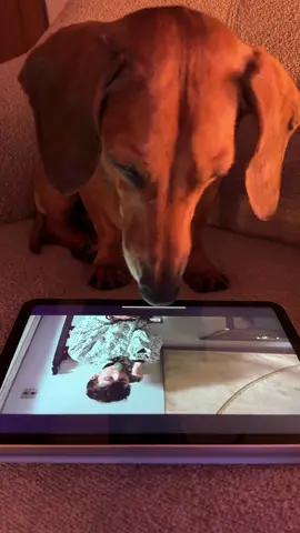 #callmebyyourname 