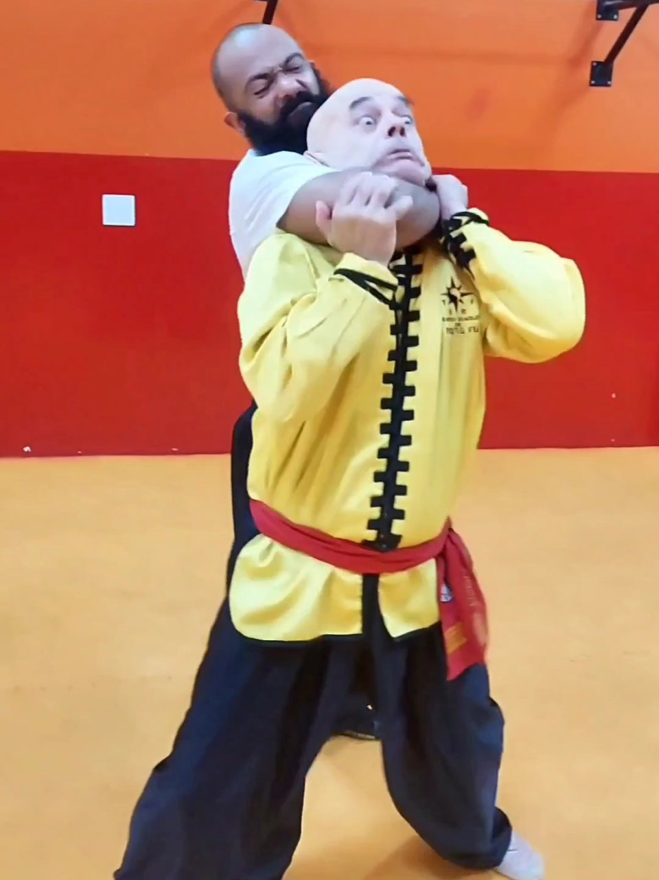 #tskf #kungfu #wushu #artemarcial #artesmarciais #defesapessoal #shaolin #chikung