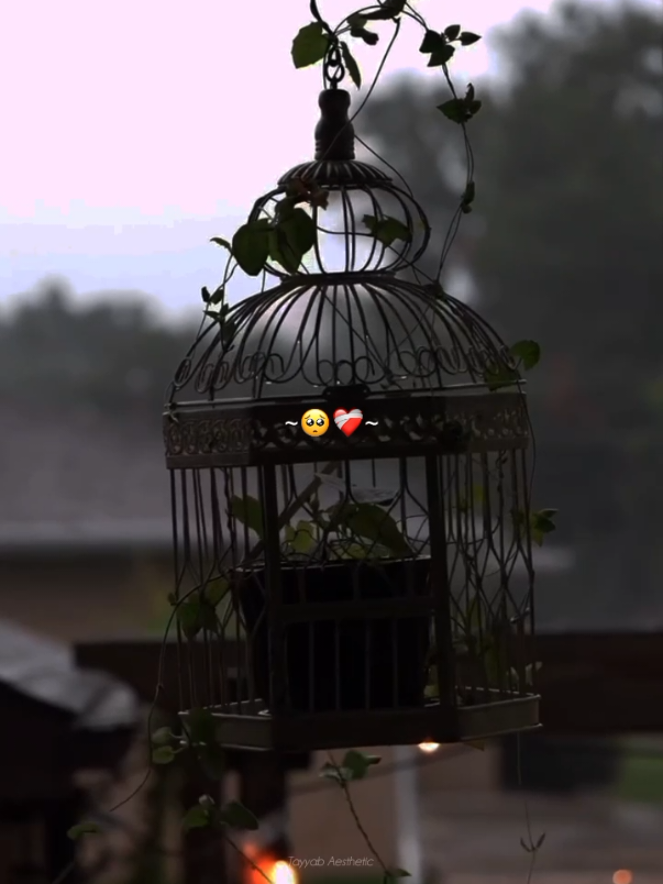 Maine Rooyan 🥺❤️‍🩹 || Repost Request || #deartiktokteamdontunderviewmyvideos  #deartiktokteamunfreezmyaccound #aesthetic #tayyabaesthetic #editing #Song #maineroyaan  #lyrics #grow #views #foryoupage 