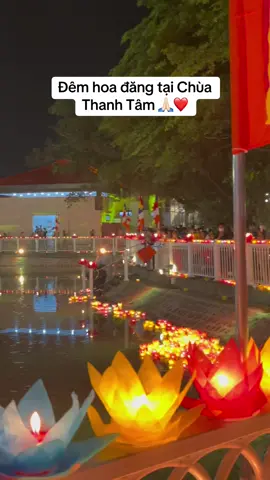 Đêm hoa đăng với hơn 20.000 chiếc đèn dâng cúng Chư Phật, hoan hỷ ạ 🙏🏻❤️ #adidaphat #adidaphat🙏🙏🙏 #namoadidaphat #nammobonsuthichcamauniphat #nammoadidaphat #nammoquantheambotat #nammodiatangvuongbotat #vesak #vesak2025 