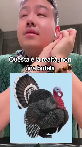 #chinesestyle #viral #italy #match #jiegianlucaxu#jiegianlucaxu #venice #cash #chinesestyle #destra #daytona #euro #money #perte #perteeee #perteee #italy🇮🇹 #italy  #italytiktok🇮🇹🇮🇹 #fyp #foryou #foryoupage #pourtoipage #pourtoiiii #pourtoiiiiiiiiiiiiiiiiii #pourvoustous#pourvouspage #pourvoustous#pourvouspage #pourvoustous #francetiktok🇫🇷#belgium #switzerland#deutschland #italy #belgium🇧🇪 #bonjour #porvous #switzerland #luksemburg #france🇫🇷 