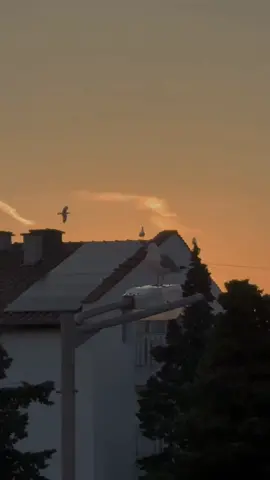 𝗠𝗮𝗶𝗻 𝗧𝗲𝗿𝗲 𝗜𝘀𝗵𝗾 𝗠𝗮𝗻 𝗴𝘂𝗺𝗿𝗮𝗵 𝗵𝘂𝘃𝗮 😫❤️‍🩹 || 𝑹𝒆𝒑𝒐𝒔𝒕 𝑹𝒆𝒒𝒖𝒆𝒔𝒕 ||♡👀 . . . #slowedreverb #withoutmusic #vocals #Status #Lyrics #views #punjabisongs #hindisong #bollywoodsong #unfreezemyacount #growmyaccount #shafa_aesthetics1 #fypppppppppppppp #goviral #aesthetic #aestheticvideos #fypppppppppppppppppppppp #Foryoupage #Foryou #explore #fyp #fypシ #fypage #fypviral 