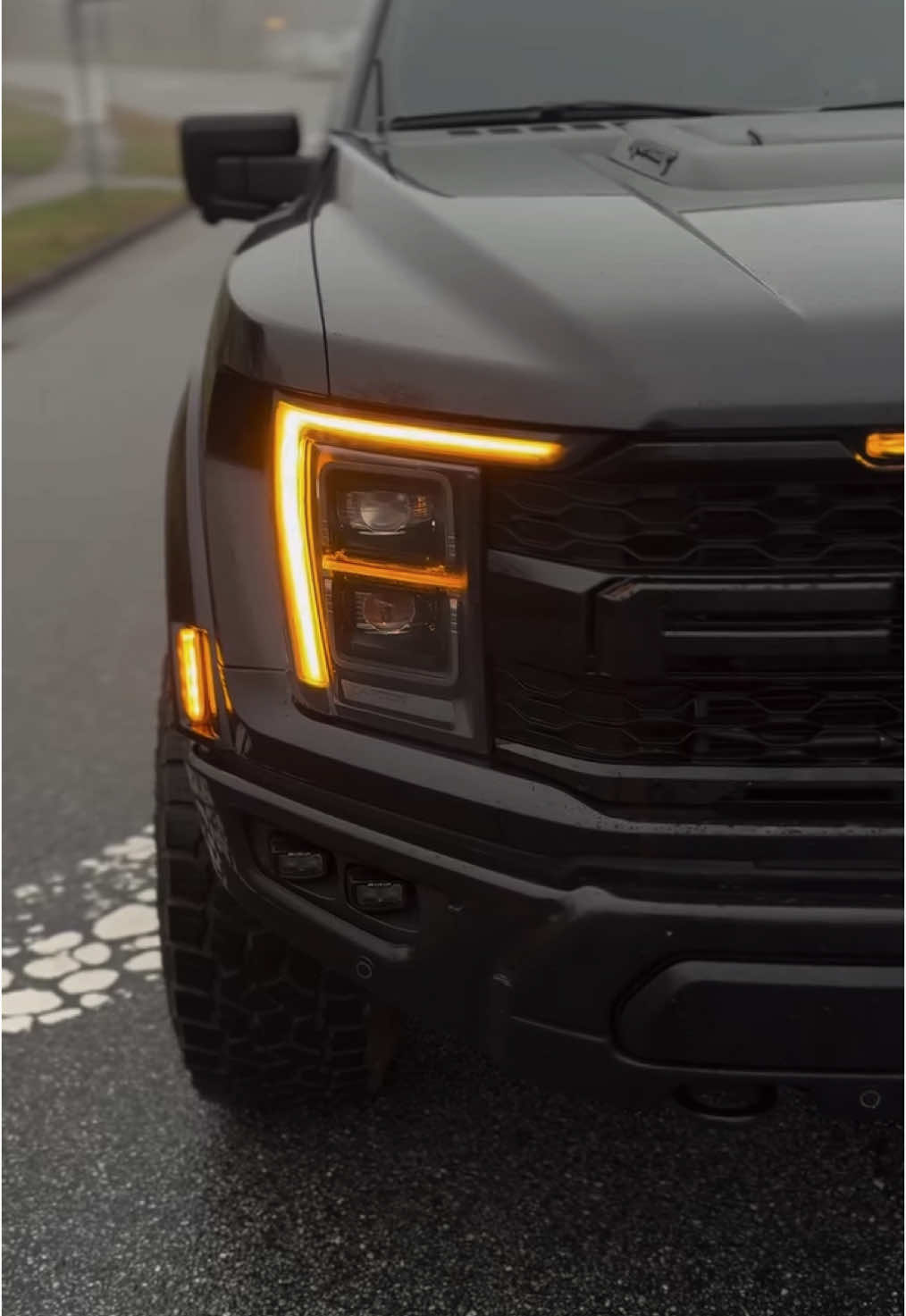 #fordraptor #fordraptorgroup #raptordaily #fordperformance 