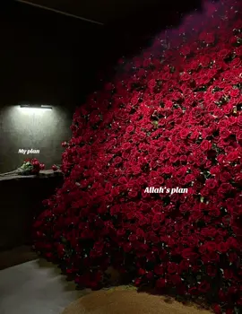 ❤️ . . . #fyp #allahlovesyou #allahplans #godsplan #plans #flower #fypシ #ghazalsadatofficial #ghazalsadat #ghazal #sadat #afghanistan🇦🇫 #afghangirl #فوريو 