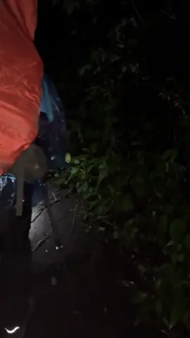 trek menjelang malam gunung slamet😇😇 #pendakigunung #pendaki #pendakifomo #hutan #tenang #slametviabambangan #fyppppppppppppppppppppppp 