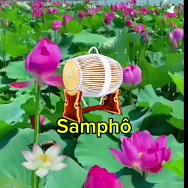 #ភ្លេងខ្មែរពិរោះរណ្តំ🎼🇰🇭❤️😊 #ភ្លេងរណ្ដំចិត្ត🤗 #ខ្មែរ #ភ្លេងពិរោះ 