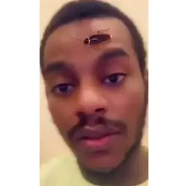 #في هذا اليوم 