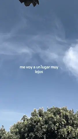 #estadosparawhatsapp #fypage #viralvideo #fy #greenscreenvideo #musica #parati 