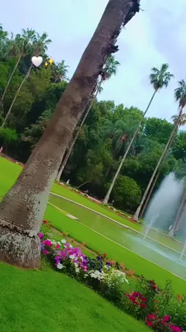 #الشعب_الصيني_ماله_حل😂😂 #CapCut #algerienne #likе 