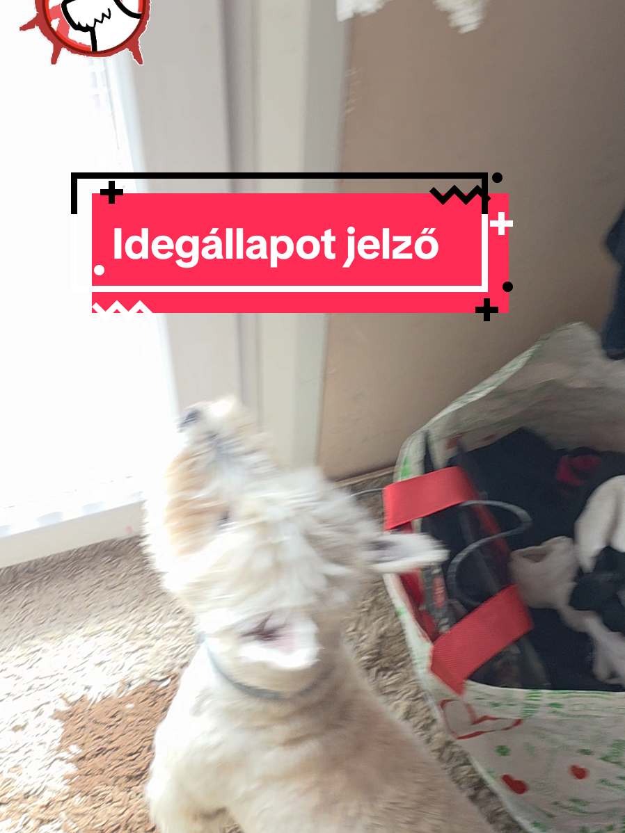 idegállapot jelző #humor 