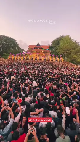പൂരം നഗരിയിൽ നിന്നും 🥳🌿❤️