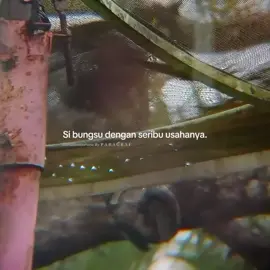 si bungsu dan usahanya.