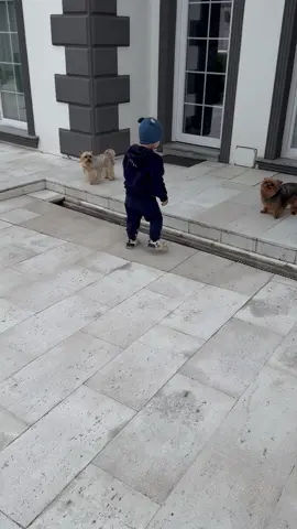 #ralupop12 #ralucapop1982 #raicrisconstruct #tiktok #foryou #fyp #calinraita5 #