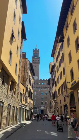 Palazzo Pitti, museum copy practice 