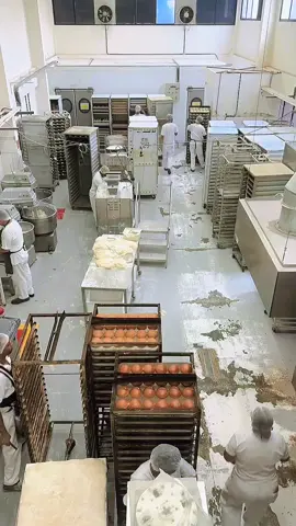 #هوبرت #فرن_دوار #كوكيز #الشعب_الصيني_ماله_حل😂😂 #افران_الحطب #معدات_مخابز 