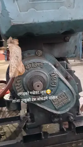 उखुको रस ताजा खान पाईन्छ तराईमा😁#fyp#foryo#following#creatorsearchinsights#nepal#shuvamweddings 