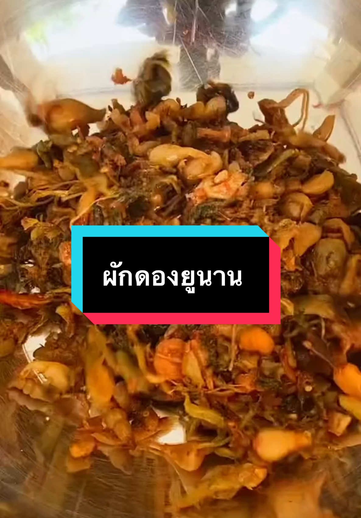 ผักดองยูนาน กิมจิชาวดอย อร่อยมากกกก #ผักดองยูนนาน #หอมดอง #อาหารเหนือลําแต้ๆ #อาหารเหนือ #อาหารภาคเหนือ #อาหารไทยใหญ่ #ดอกเอื้อง #ดอกเอื้องสามปอยbyployprapha #ประภานางฟ้าไทยใหญ่ #ดอกเอื้องสามปอย #ดอกเอื้อง #ดอกเอื้องสาวล้านนา #อาหารไทใหญ่ #อาหารไทยใหญ่ค่ะ #อาหารไตย #อาหารไทยใหญ่  #อาหารหาทานยาก #อาหารคนเมือง #อาหารไทลื้อ #อาหารไตย #อาหารไทใหญ่ #สอนทำอาหาร#สอนทําอาหาร</h>้าน #<h id=