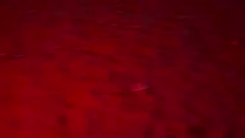 #fypシ #الخرج #الخرج 