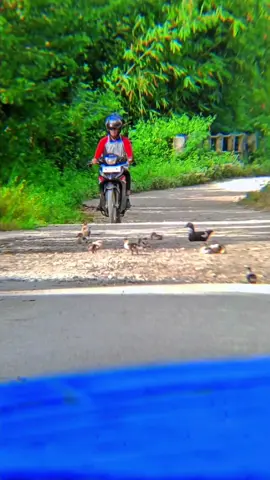 #koperasiharian  #fypage  ttp semangat kawan. walaupun stengah mati menagih utang💪🏻💪🏻💪🏻