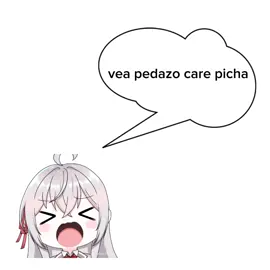 vea pedazo care pi.... . . . . . . . . . . . . . . . #alyasometimeshidesherfeelingsinrussian #memes #momazos #humor #cover #aya 
