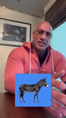 #dwaynejohnson #dwayne #dwaynetherockjohnson #johnson #therock #paratodos #paratodosustedes #paratodosdetiktok #españa🇪🇸 #espanatiktok🇪🇦 #francetiktok🇫🇷 #italytiktok🇮🇹🇮🇹 #mexicotiktok🇲🇽♥️ #hondurastiktok🇭🇳👸 #chiletiktok🇨🇱 #atencion #paratiiii #parati #paratilatino #fypシ 