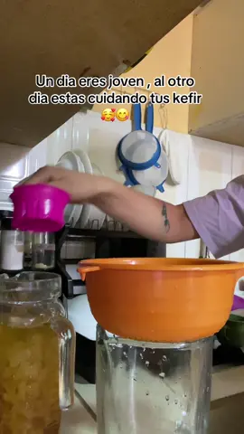 Amando el agua de kefir 🥰#bulgarosdeagua #kefir #parati 🫰🏻💗