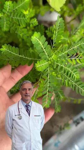 Catarata e Glaucoma VÃO SUMIR! Enxergue Como uma Águia com Esse Chá Milagroso! 👁🦅 #shorts#segredodebeleza #remedionatural #receita #cuidados #dicas