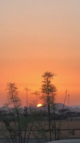 #اكسبلورexplore #اكسبلورexplore❥🕊🦋💚❤🕊️habiby،💛💛 #مشاهير_تيك_توك 