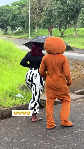 😂😂😂😂😂#teddy01 #viral #trending #