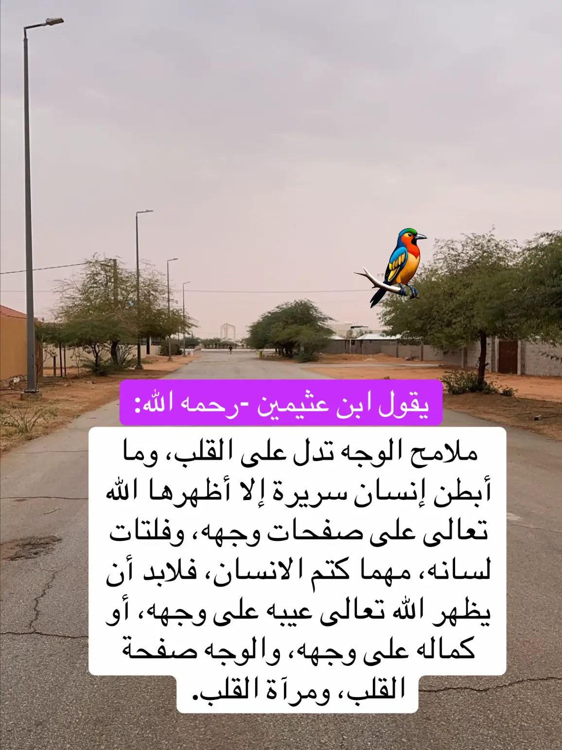 #رسائل  #ترند_جديد  #كتاب  #كتاب  #كتب 