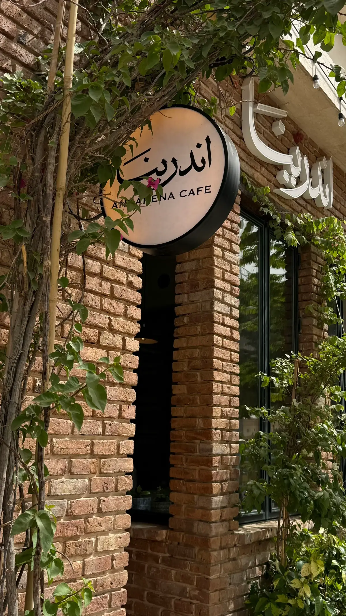 @andarena_coffee  #اكسبلور #explore #اكسبلورexplore #foryou #fyp #الرياض #كوفي #Summer #مالي_خلق_احط_هاشتاقات 