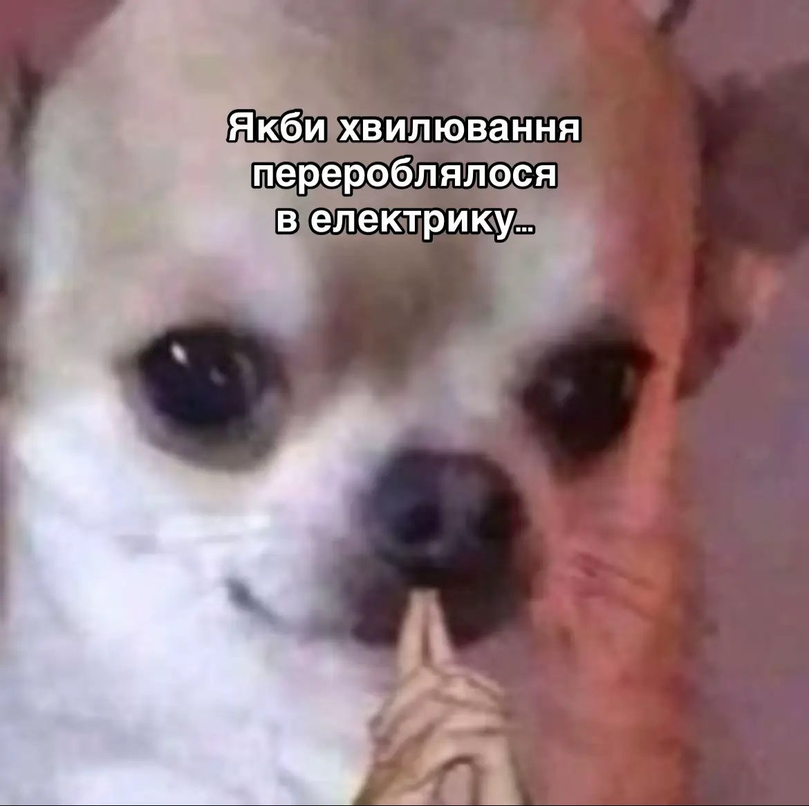 #творчість #буктокукраїнською #відьмавмираєвтретє #BookTok #фентезі 